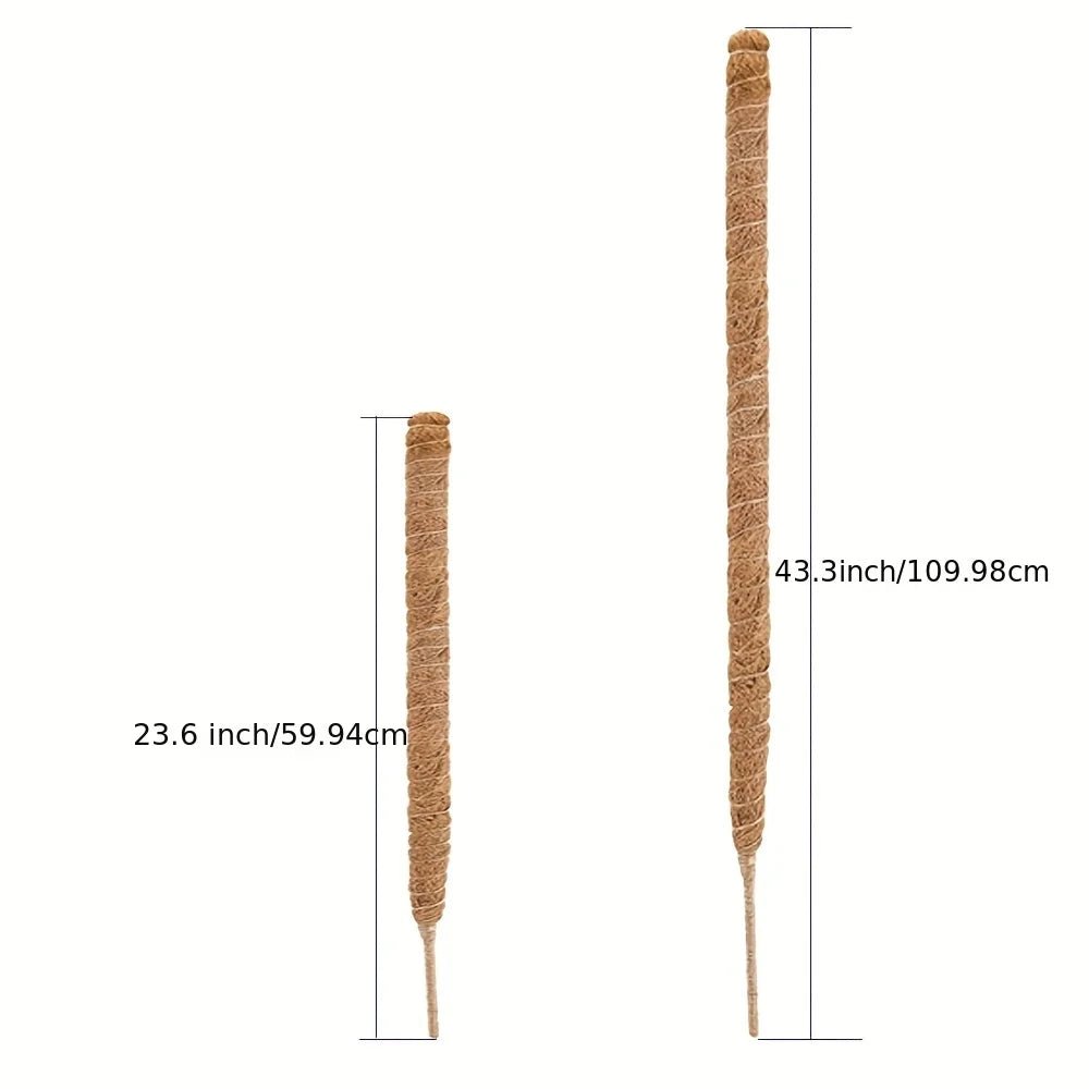 Tuteur Monstera en Jute Naturel – Support Plante Grimpante Flexible