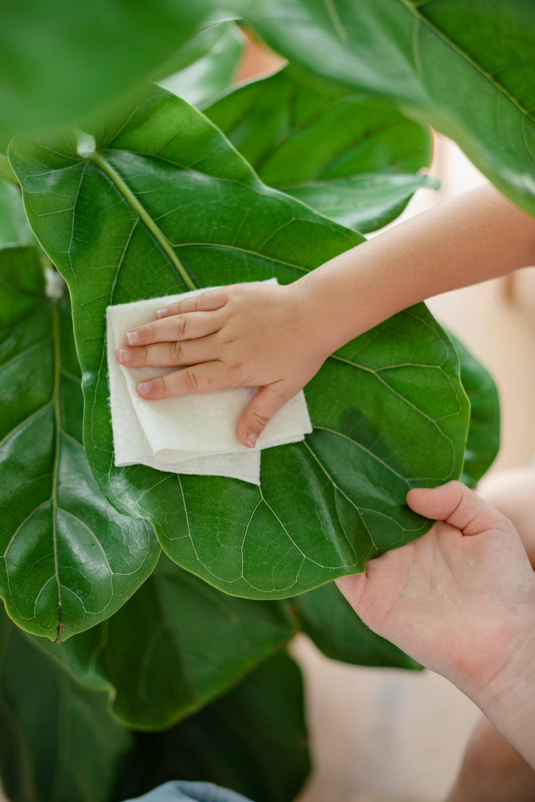 Nettoyage et humidité toile de jute