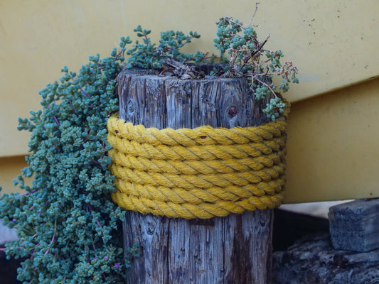 wooden post with plant wrapped with a yellow rope