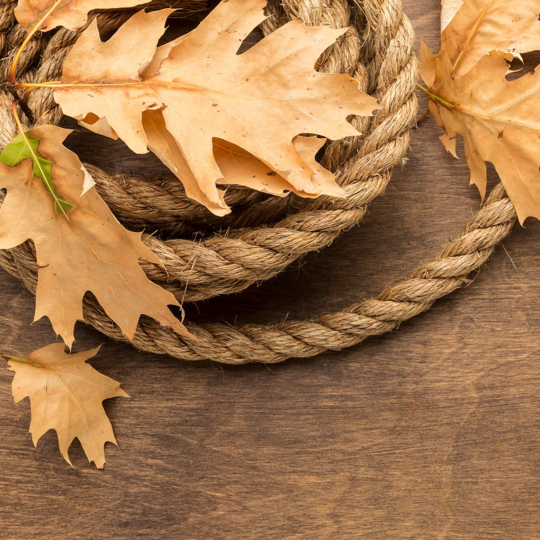 toile de jute en automne