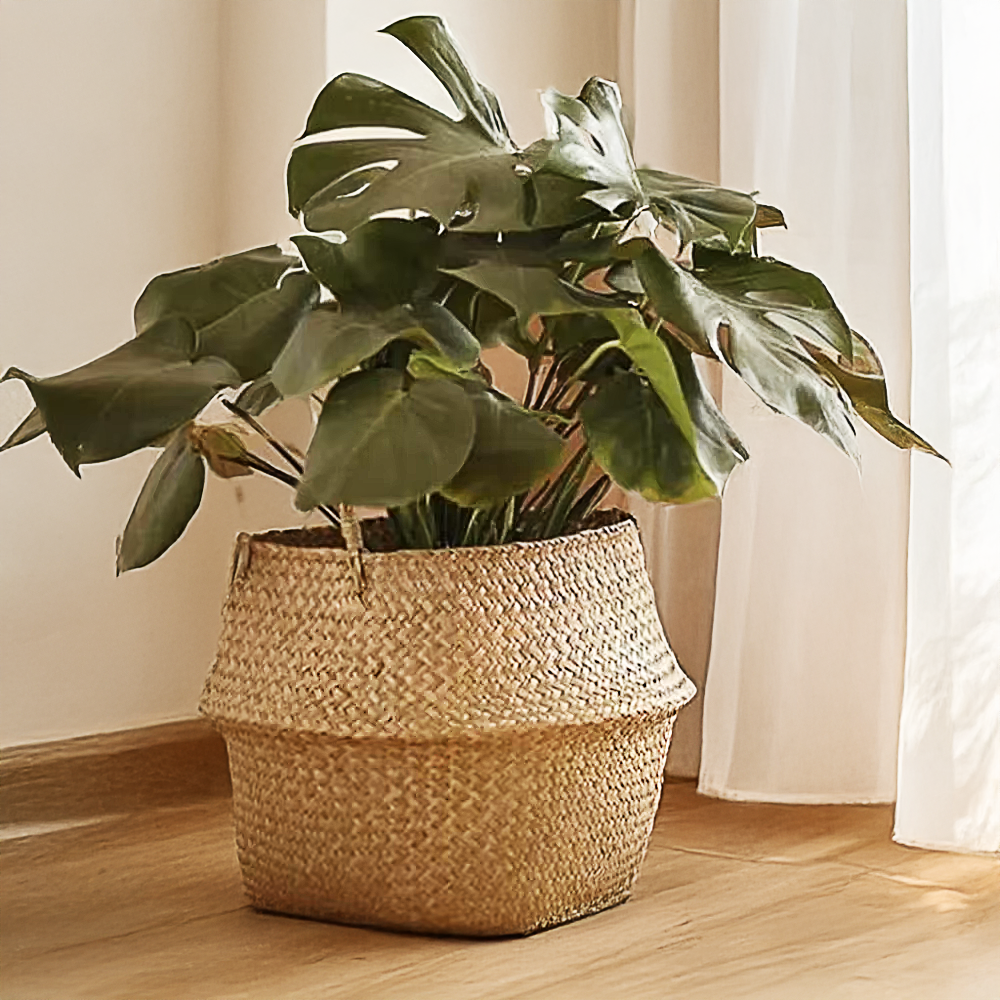 cache pot en toile de jute